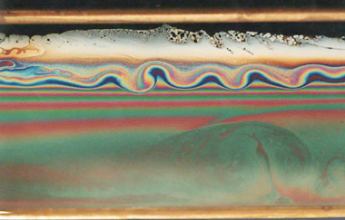 Evaporatively-Driven Convection in a Draining Soap Film