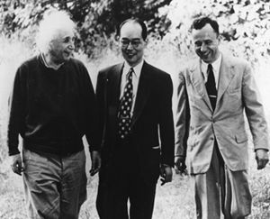 Albert Einstein, Hideki Yukawa, and John Wheeler