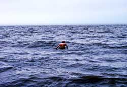 Dirac swimming in ocean