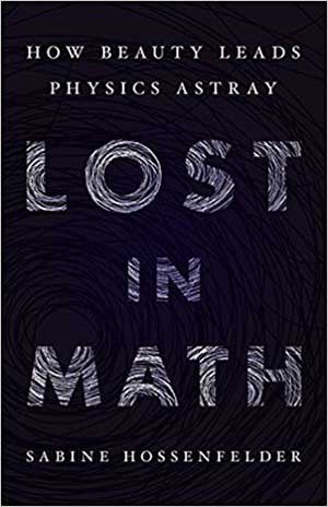 Lost in Math book